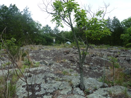 For scale, at this large glade, I am standing on top of a large rock with our tent to the right.